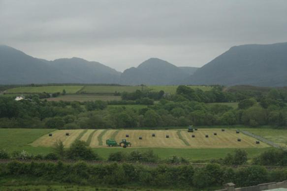 River Valley Farmhouse Bed & Breakfast Killarney Exterior photo